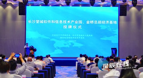 望城軟件園揚(yáng)帆起航，專項(xiàng)扶持政策助力信息技術(shù)服務(wù)業(yè)騰飛