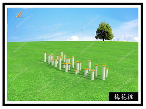 地面拓展器材梅花樁 團隊協(xié)作與平衡藝術(shù)的考驗